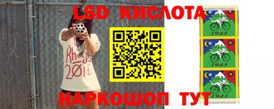 прущие грибы Малгобек