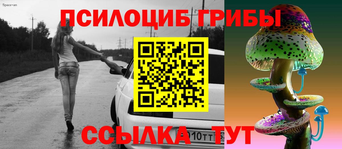 Волжский  Галлюциногенные грибы мухоморы  Вход с VPN 
